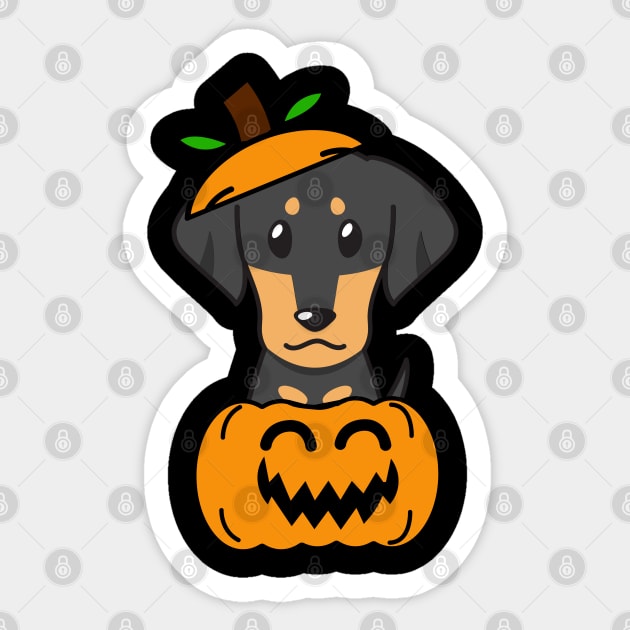 Funny dachshund is in a pumpkin Sticker by Pet Station